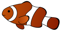 anemonenfisch