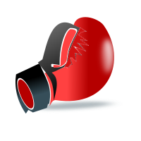 Boxing glove