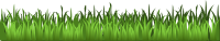 Grass Only