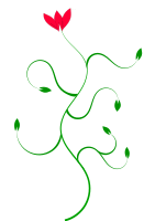 Flower plant