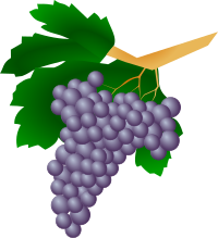 Grapes - Raisin
