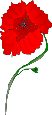 Freeform Poppy
