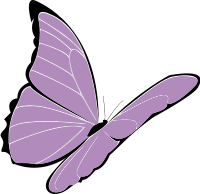 purple butterfly
