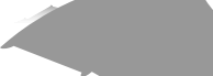 Bat Silhouette Icon