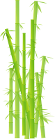 Bamboo
