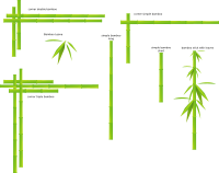 Bamboo
