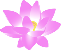 lotus blossom