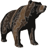 Brown bear