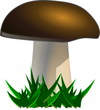 Mushroom, grybas, food