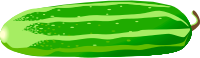 cucumber
