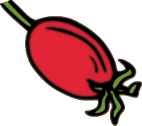 Rose Hip Fruit