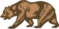 Flag of California - Bear