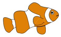 clown fish