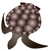 turtle