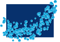 Bubbles