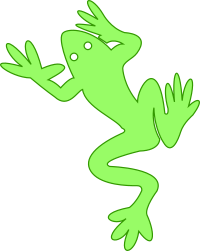 Frog 03