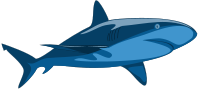 Shark Pure