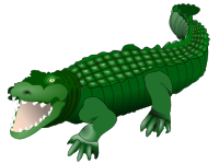 Crocodile