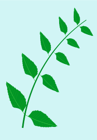 Nature Medic