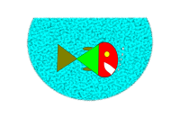 fish in aquarium