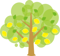 lemon tree 
