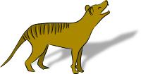 thylacine