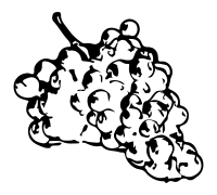 Grapes line art