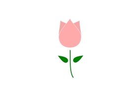 Tulip Flower