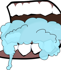 Mouth Foaming 1