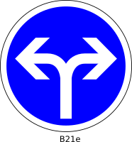 B21e