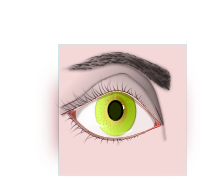 Ojo