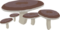 Mushrooms 1