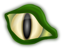 Croc eye