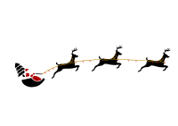 Santa with flying deers