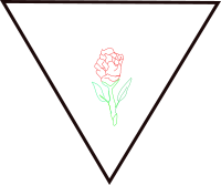 rosa y triangulo