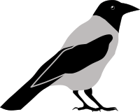 Crow by Rones