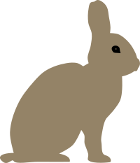 Rabbit by Rones