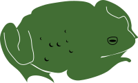 Toad by Rones