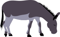 Wild donkey by Rones