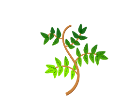 Leaves and branches 2