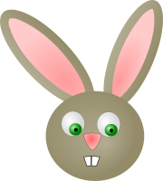 rabbit