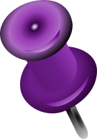 Punaise mauve