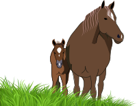 mare and foal