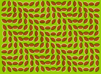 Optical Illusion 1
