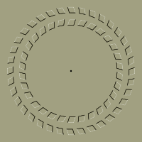 Optical Illusion 2