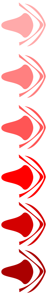 bullet asia2