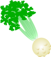 Celery with root
