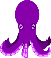 octopus