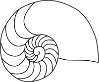 Nautilus