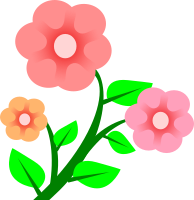 3 flowers